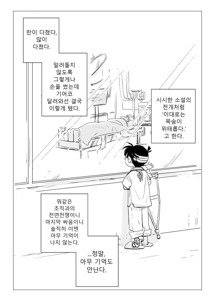 진짜 작가도 이거보단 잘 못만들것같다는 명탐정 코난 팬이 그린 결말 - 인스티즈(Instiz) 이슈 카테고리