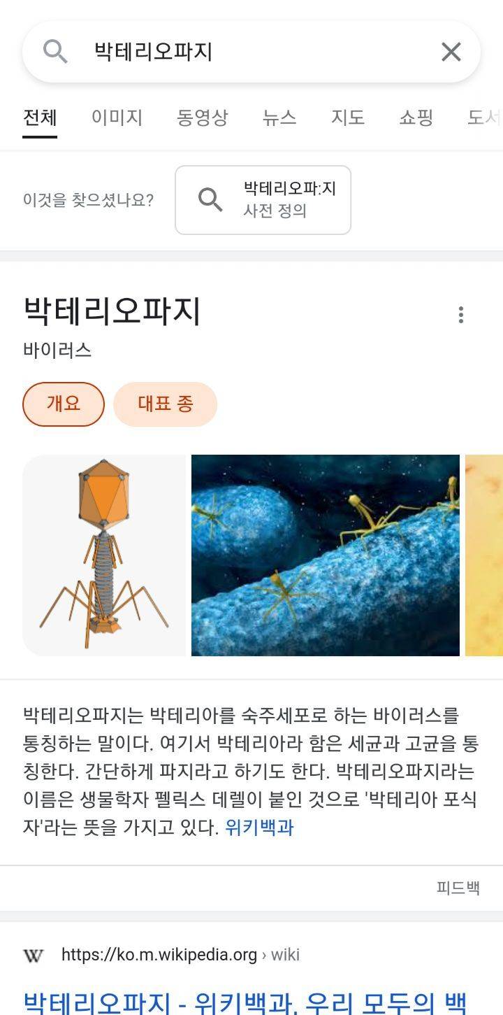 아육대에서 운동이 아니라 다른걸로 소소하게 화제된 아이돌들 | 인스티즈