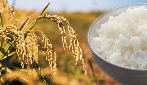 부모님이랑 같이 사는 사람 중에서 생활비는 안 드리지만, 이렇게 사는 사람들이 은근 있음 | 인스티즈