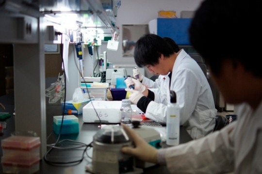 제조업 몰락 - 지식기반 기업들 새먹거리로 등장... 대한민국 수도권 인구집중 더 가속화 된다 | 인스티즈