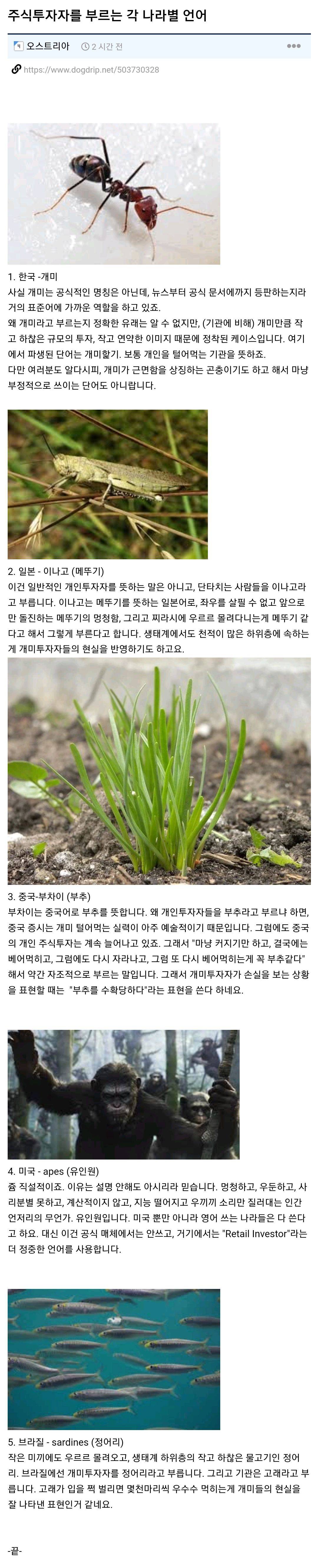 주식투자자를 부르는 각 나라별 언어 | 인스티즈