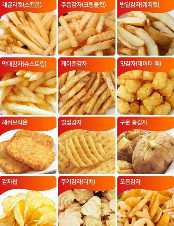 nokbeon.net-수 많은 감자튀김 종류 중 평생 하나만 먹어야 한다면???-1번 이미지