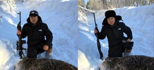 [단독] "한인마을에 곰 출현"한 시기..러시아 '곰 사냥 기간'이었다 | 인스티즈