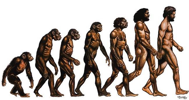 인류가 진화의 정점인 이유 | 인스티즈