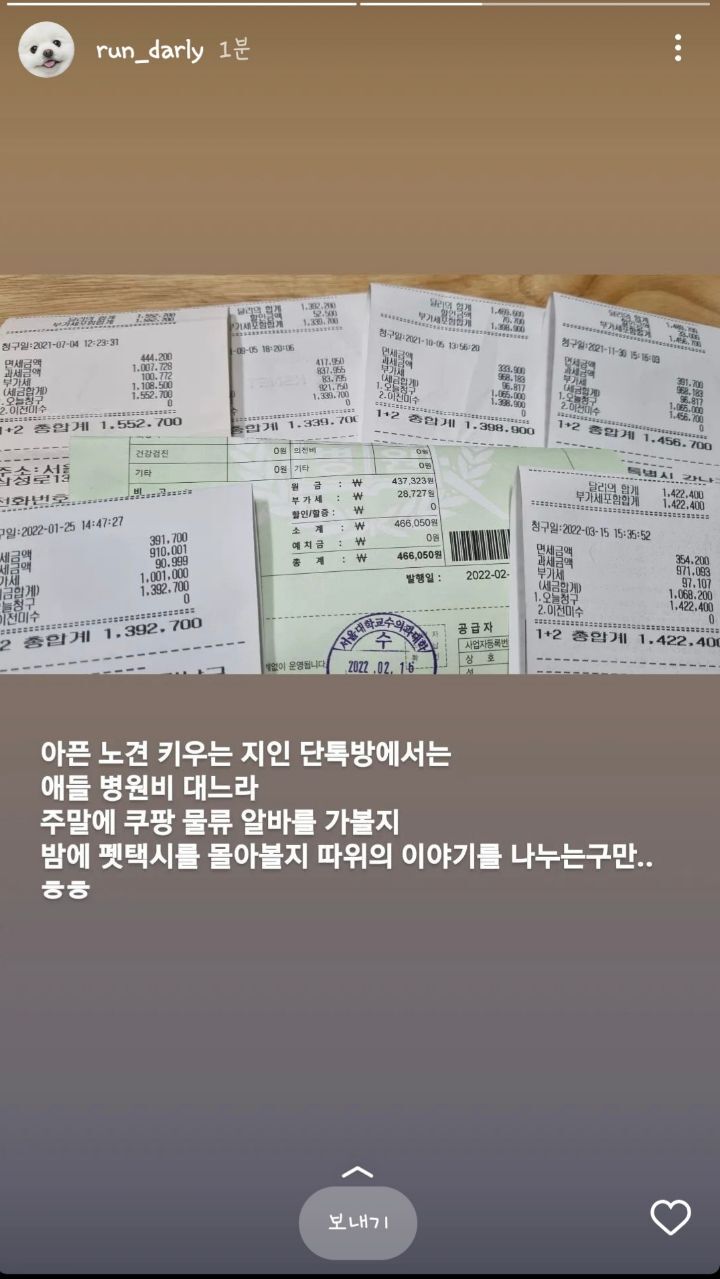 달리 심장병 치료를 위해 회사도 그만두고 퇴직금, 대출금, 보험까지 모두 해약하고 일본으로 떠난 달리언니 | 인스티즈