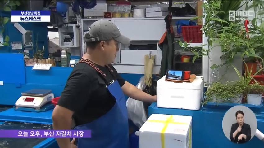 오염수 방류로 암울해진 자갈치 시장.jpg | 인스티즈