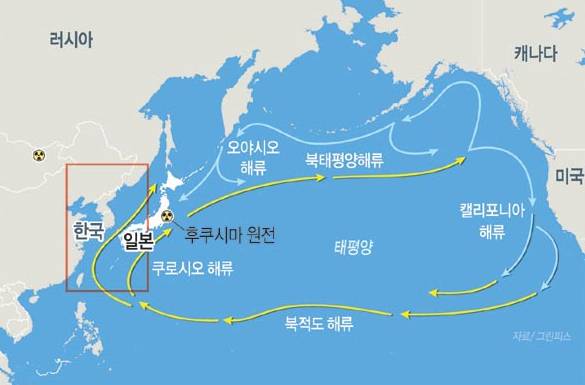 앞으로 조금 신경써서 먹어야할 음식들 | 인스티즈