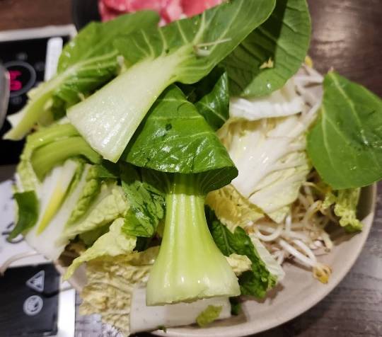 로운 샤브샤브.jpg | 인스티즈