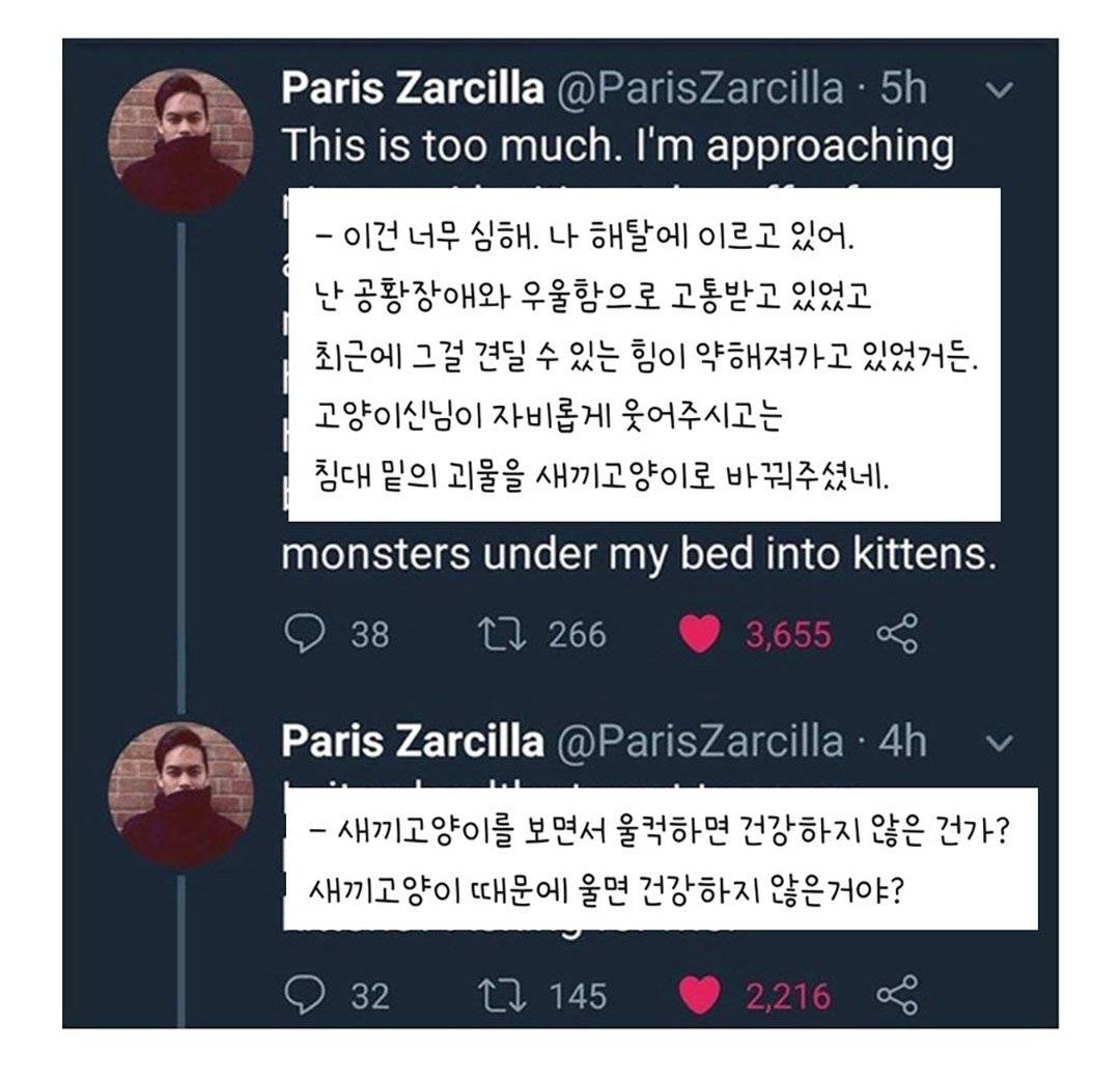 nokbeon.net-우울증 걸린 사람집에 고양이가 들어옴-6번 이미지