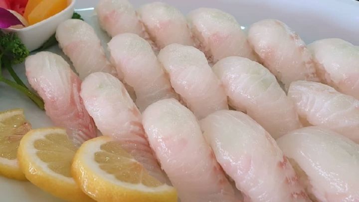 🍣 연어초밥 vs 광어초밥 🍣 | 인스티즈