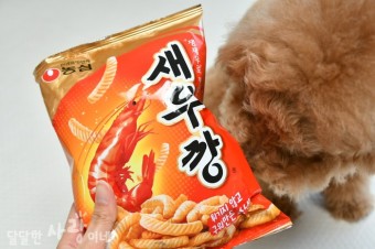 입천장 아작 내는 과자 이분야 갑은??????? | 인스티즈