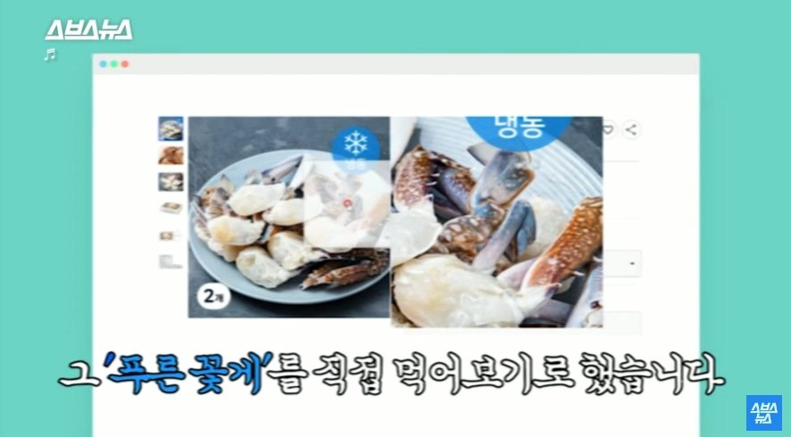 이탈리아에서 문제라는 "푸른 꽃게" | 인스티즈