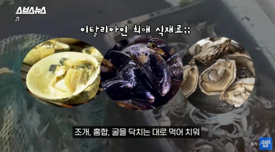 이탈리아에서 문제라는 "푸른 꽃게" | 인스티즈