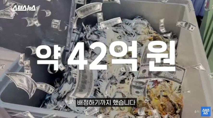 이탈리아에서 문제라는 "푸른 꽃게" | 인스티즈
