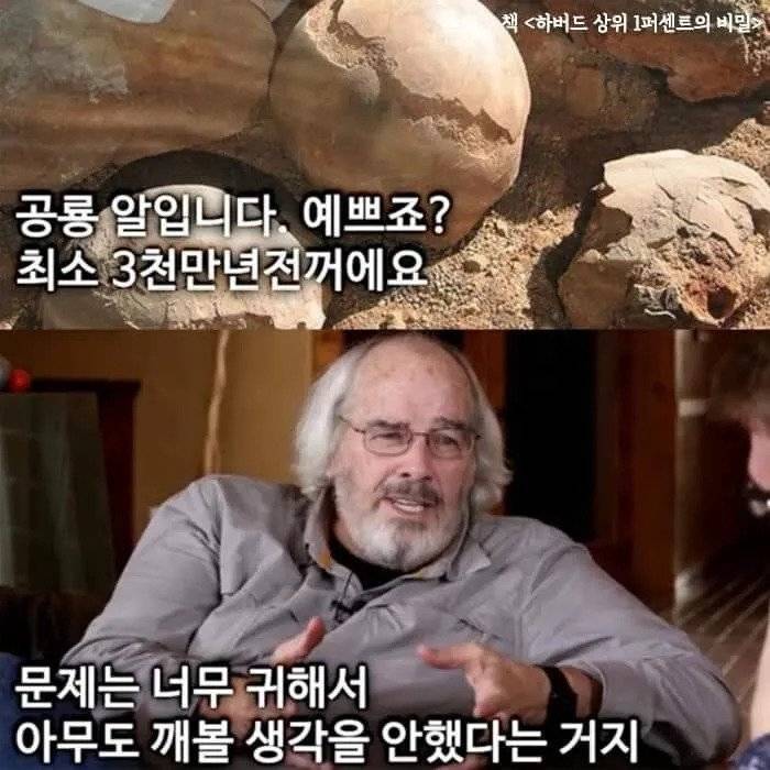 3천만년 된 공룡알을 망치로 깨버린 사람.jpg | 인스티즈