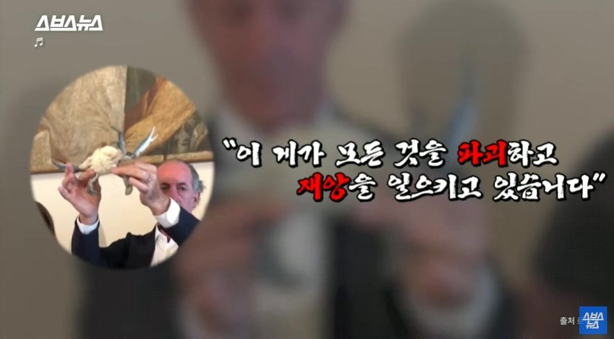이탈리아에서 문제라는 "푸른 꽃게" | 인스티즈