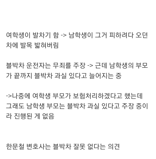 (한문철)끝까지 블박차의 과실을 주장하는 부모.. | 인스티즈