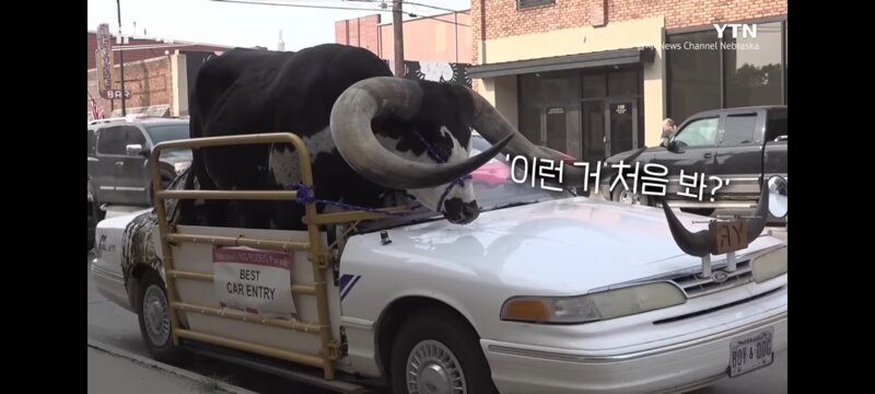 미국의 한 도시에 나타난 알리스타를 태우고 다니는 차량 | 인스티즈