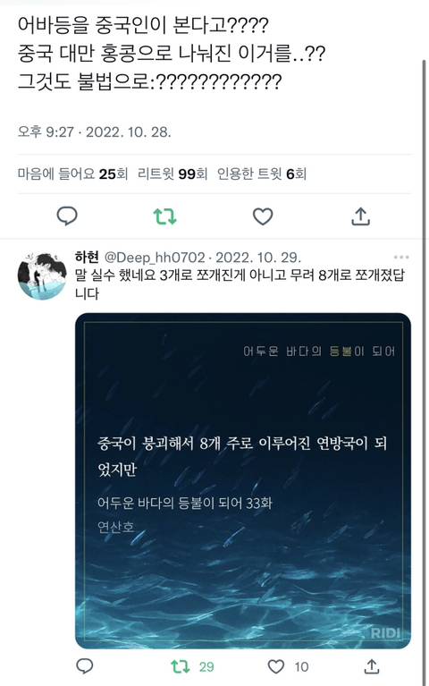 웹소설이 중국에 불법번역됐지만 되려 중국을 걱정(?)한 독자들 | 인스티즈