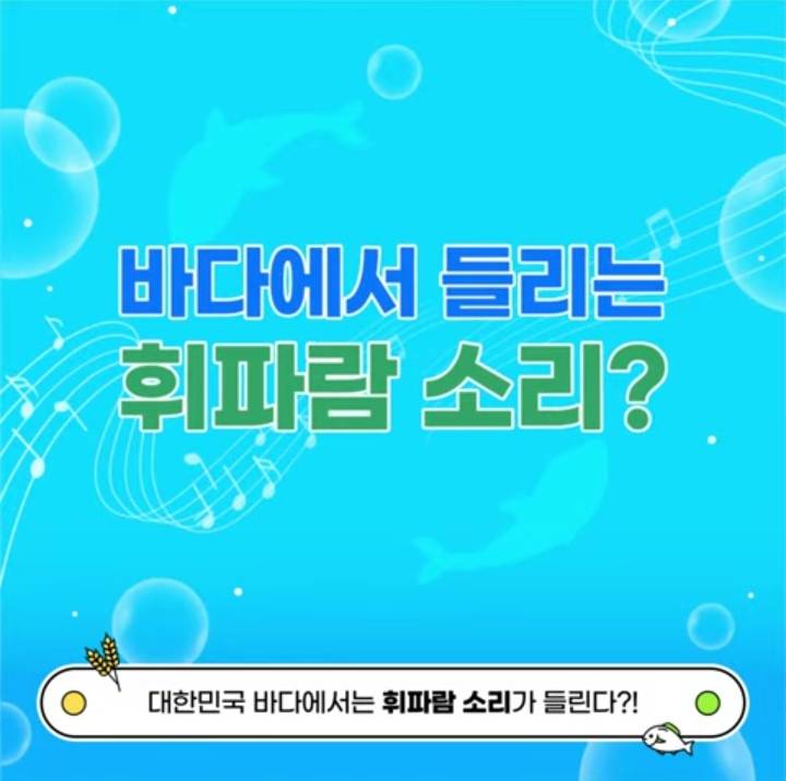 해녀들이 물질하고 나올때 휘파람을 부는 이유 | 인스티즈