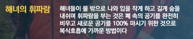 해녀들이 물질하고 나올때 휘파람을 부는 이유 | 인스티즈