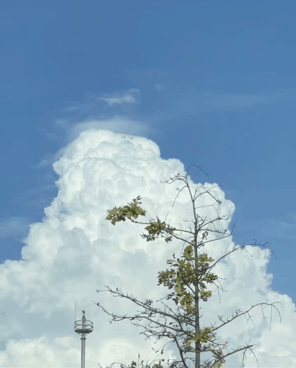 nokbeon.net- 오늘자 구름 실시간으로 부푸는 거 볼 사람.gif-1번 이미지