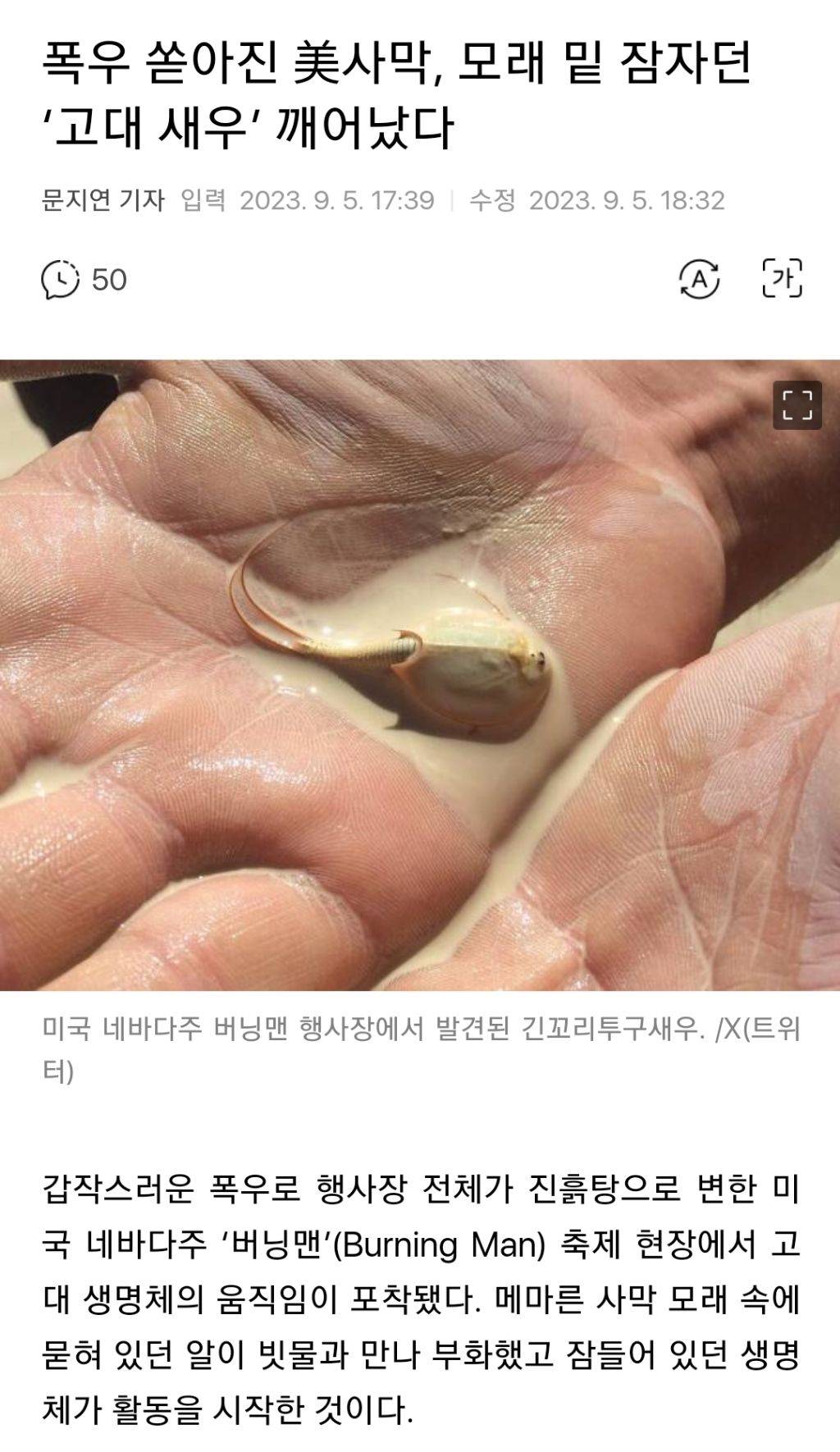 폭우 쏟아진 美사막, 모래 밑 잠자던 '고대 새우' 깨어났다 | 인스티즈