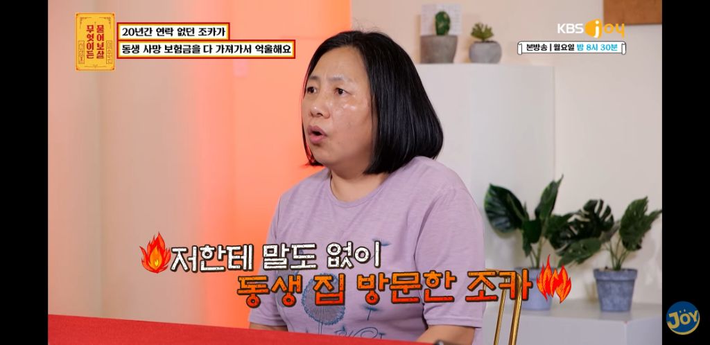 [물어보살] 남동생 사망보험금 독식한 조카 | 인스티즈