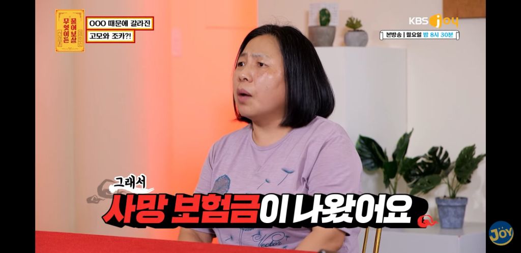 [물어보살] 남동생 사망보험금 독식한 조카 | 인스티즈