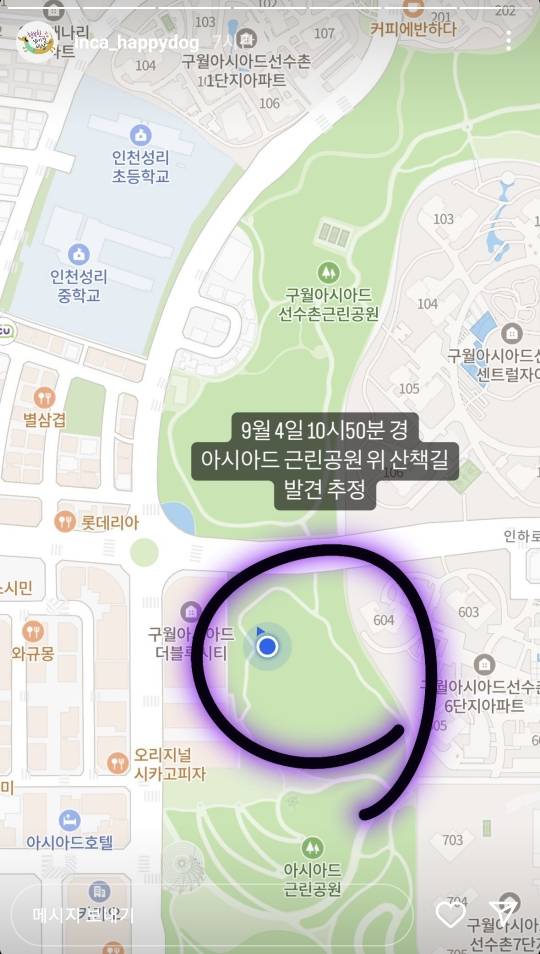 🆘강아지를 찾습니다🆘 인천 남동구 구월동 행유세 별이 | 인스티즈