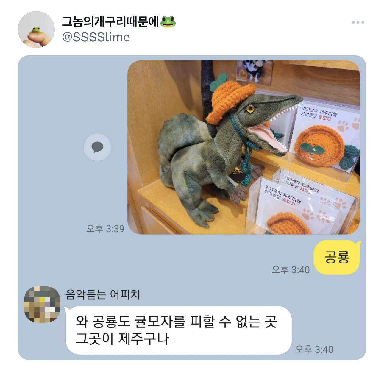 공룡도 귤모자를 피할 수 없는 그곳이 제주 | 인스티즈