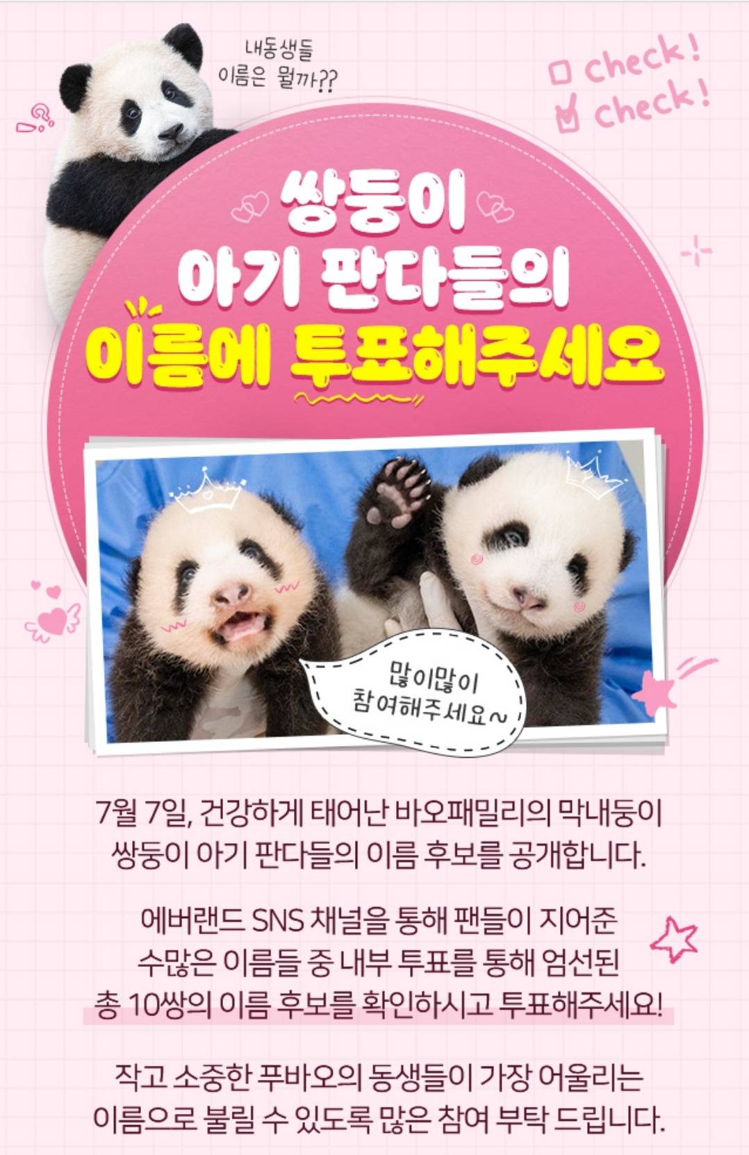 🐼🐼 쌍둥이 판다 이름 투표 시작함.jpg | 인스티즈