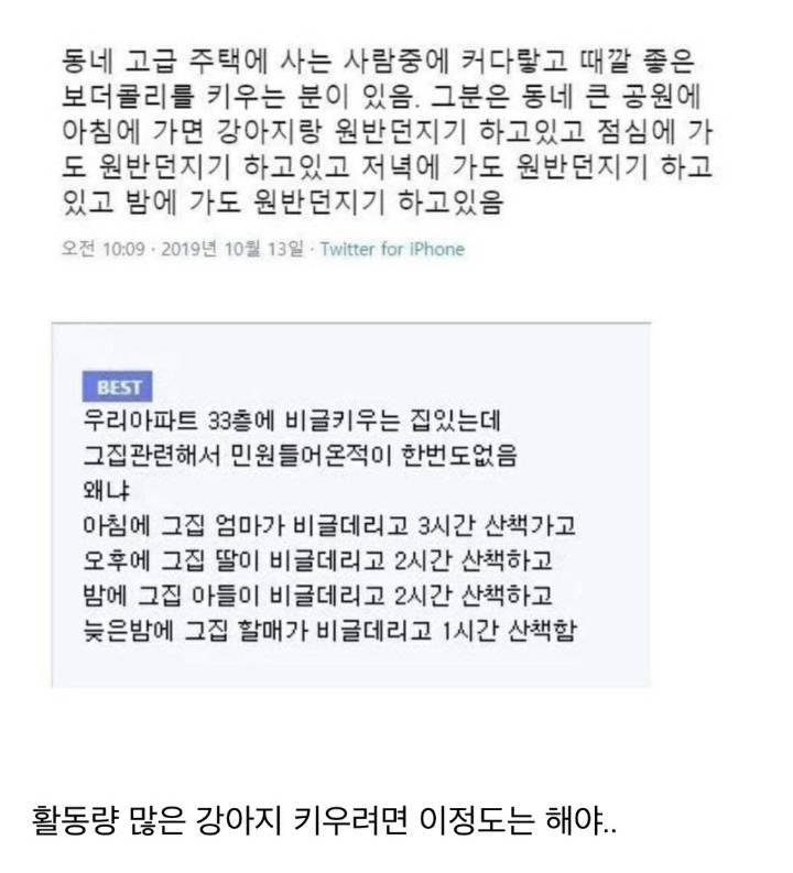 아파트에서 비글 키우는데 민원 안들어오는 이유.jpg | 인스티즈
