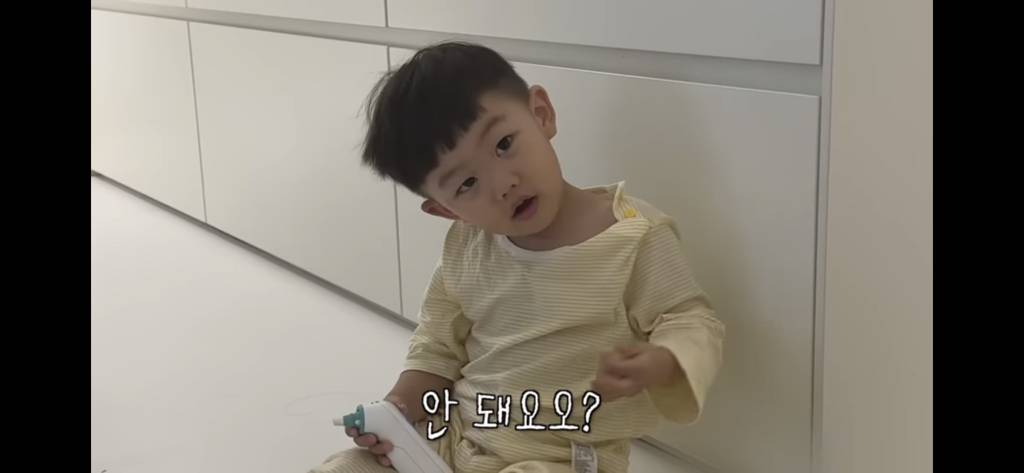 생각보다 많은 출산한 유튜버들 | 인스티즈