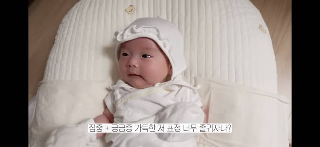생각보다 많은 출산한 유튜버들 | 인스티즈