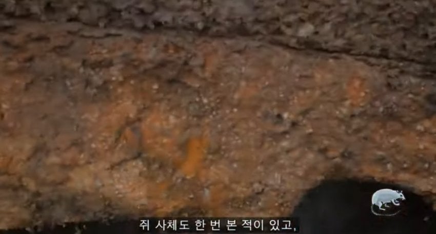 7년차 서울시 치수과 공무원의 어떤 하루 | 인스티즈