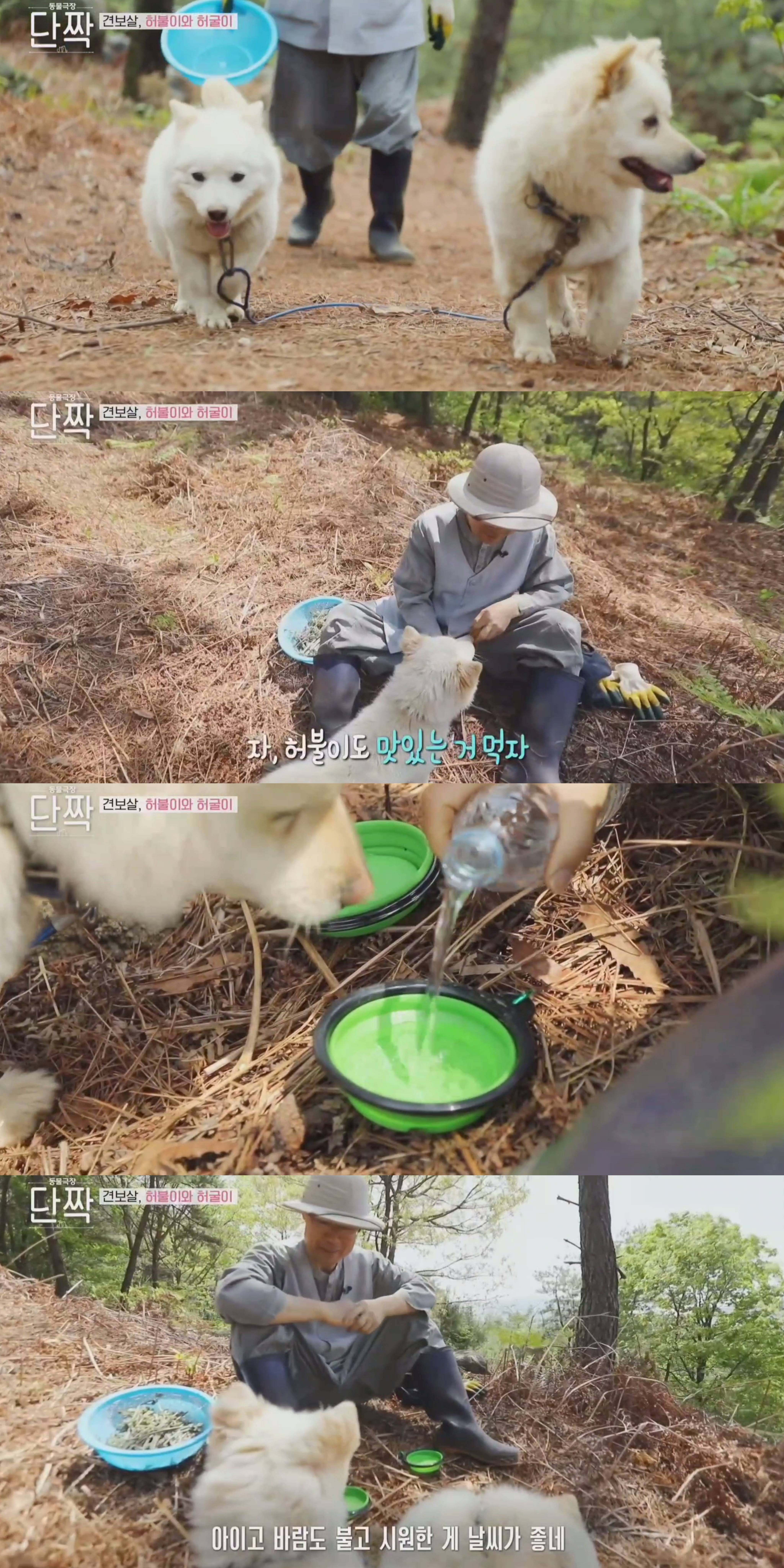 nokbeon.net-평화롭고 귀여운 견보살 댕댕남매.gif-31번 이미지