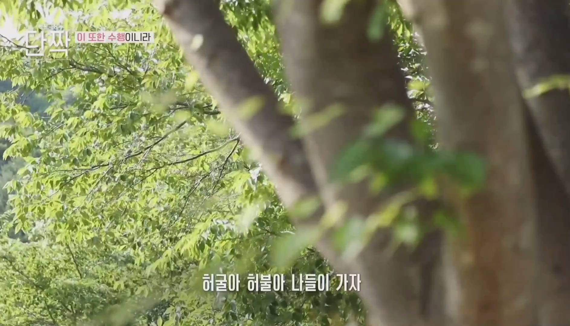 nokbeon.net-평화롭고 귀여운 견보살 댕댕남매.gif-38번 이미지