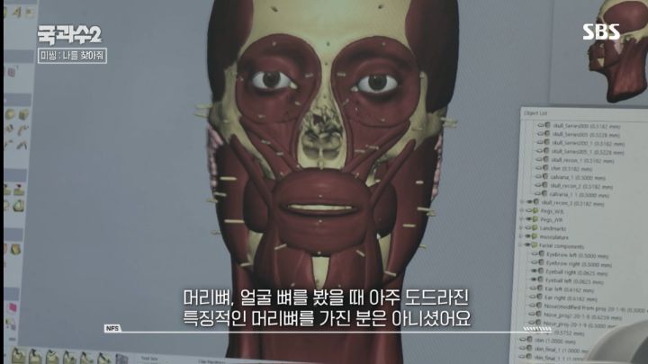 얼굴뼈만 가지고 얼굴을 복원할수있을까? | 인스티즈