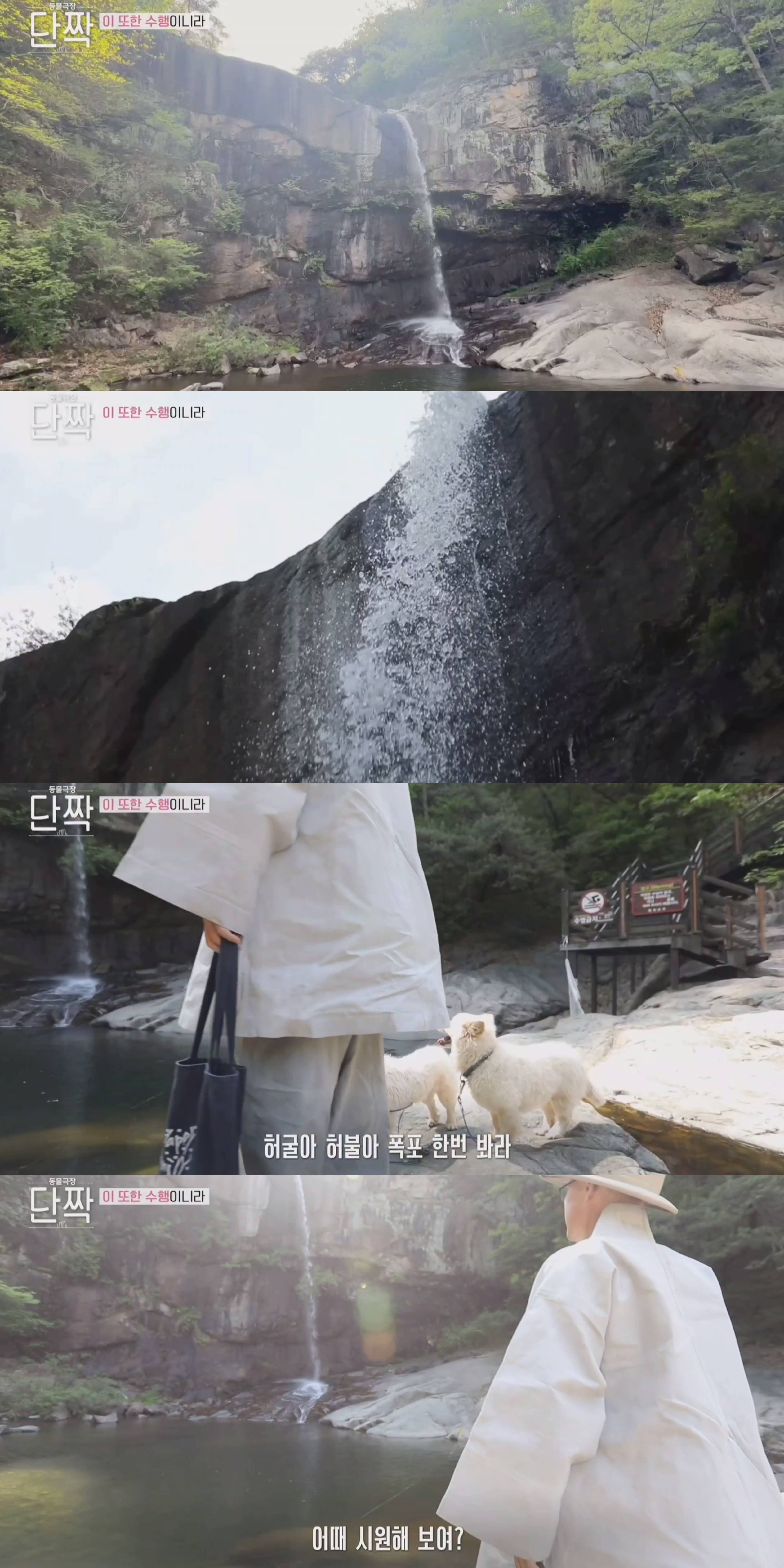 nokbeon.net-평화롭고 귀여운 견보살 댕댕남매.gif-42번 이미지