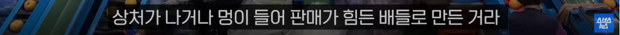 호주에서 인기 있다는 k-배즙 | 인스티즈