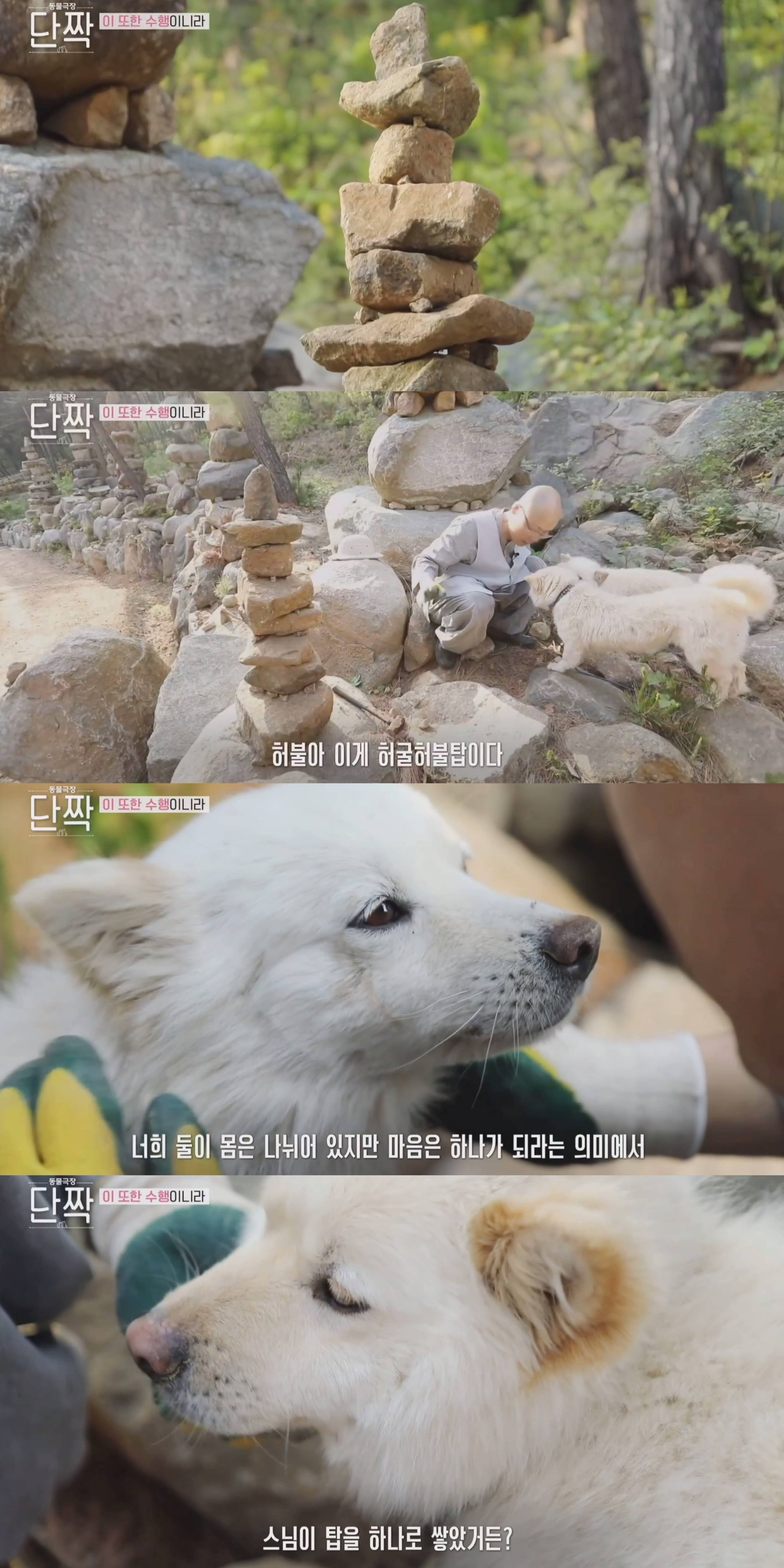 nokbeon.net-평화롭고 귀여운 견보살 댕댕남매.gif-37번 이미지