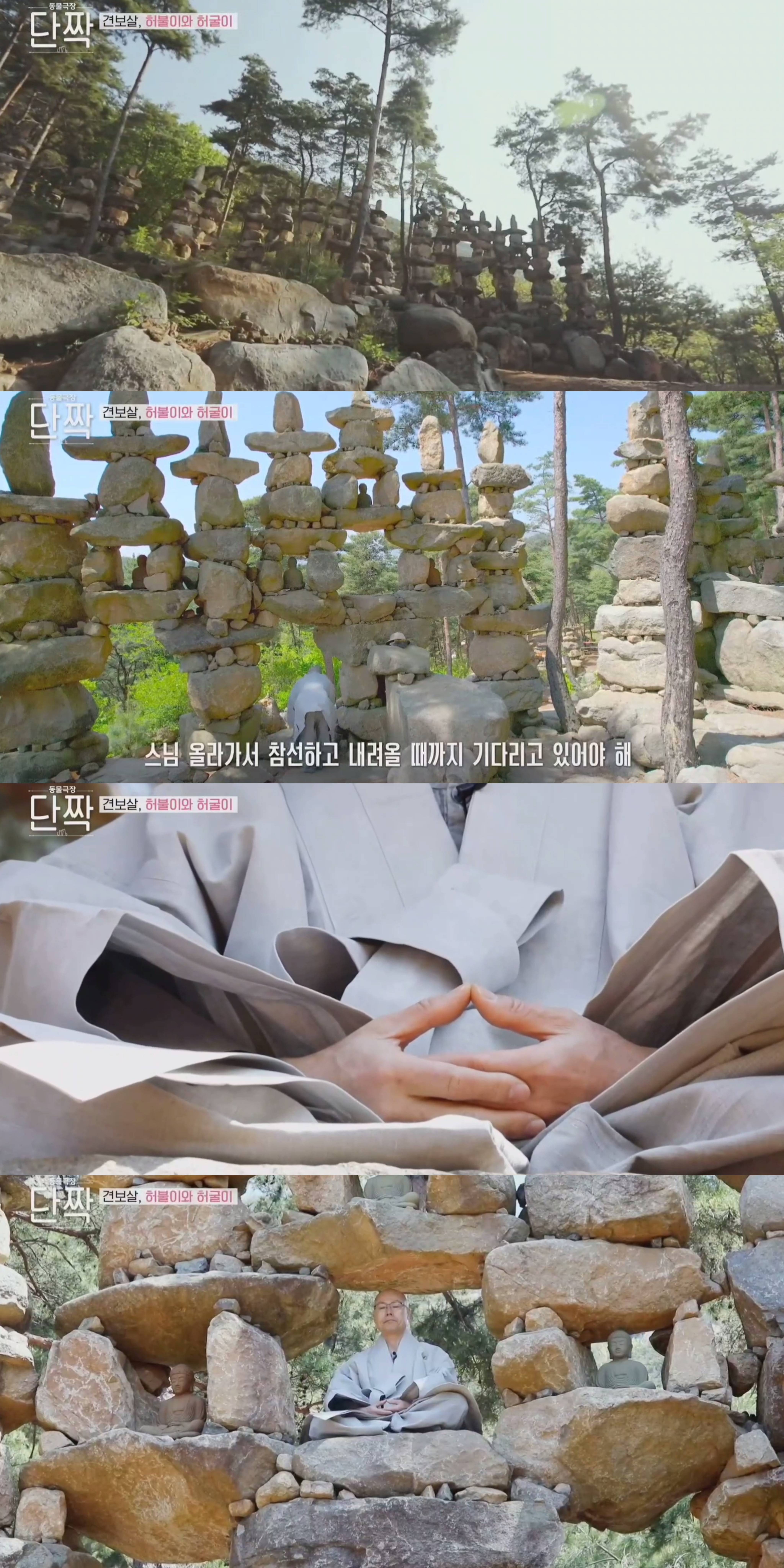 nokbeon.net-평화롭고 귀여운 견보살 댕댕남매.gif-8번 이미지