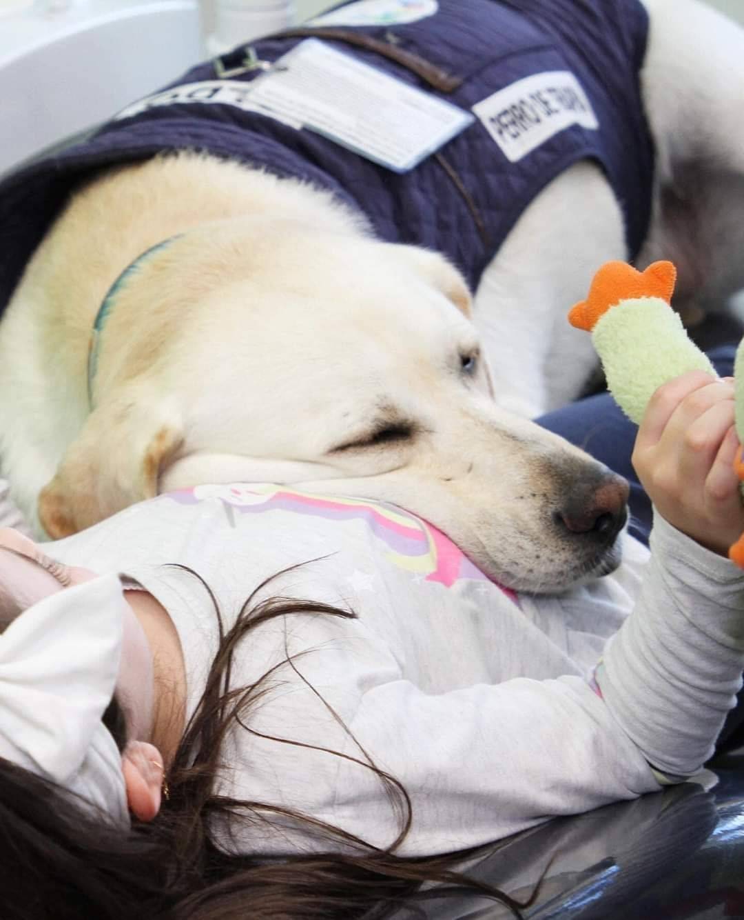 치과가 무서운 아이들을 안심시키는 전문직 | 인스티즈