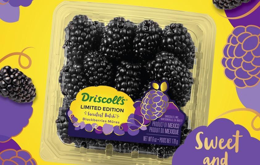 Sweetest Batch blackberries hit shelves | Article | Fruitnet