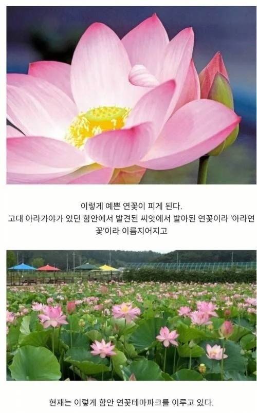 700년만의 아 | 인스티즈