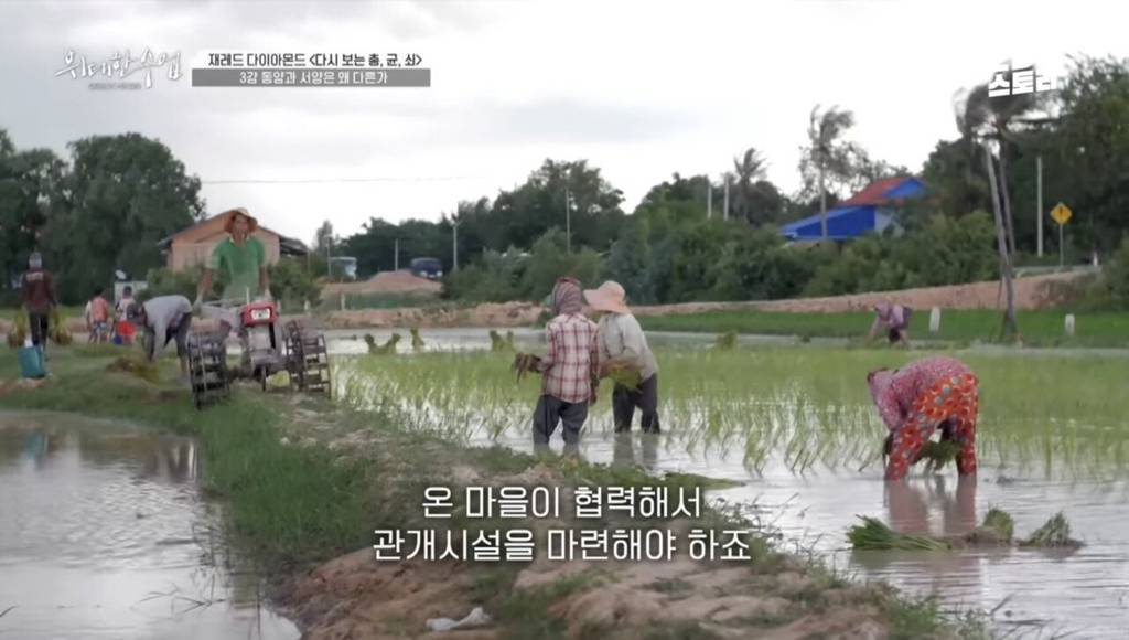 총균쇠 작가가 말하는 동서양 문화차이 원인 | 인스티즈