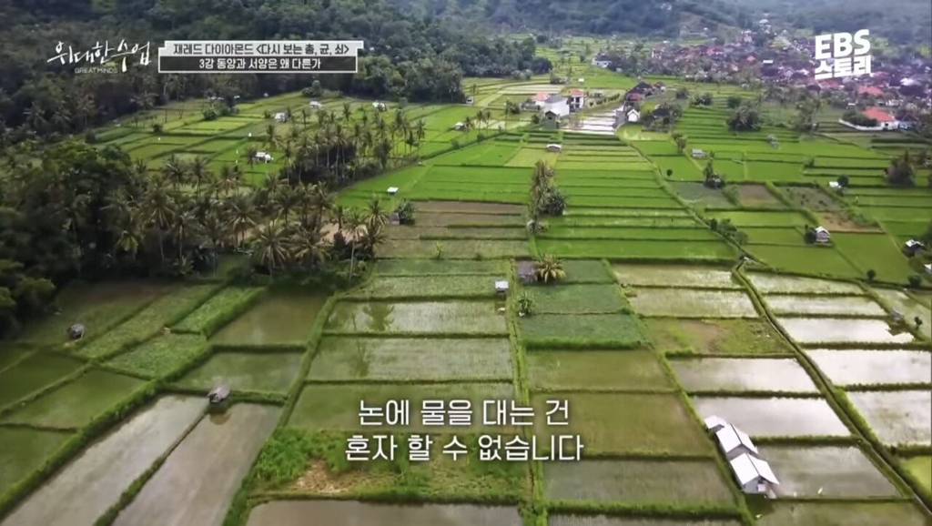 총균쇠 작가가 말하는 동서양 문화차이 원인 | 인스티즈