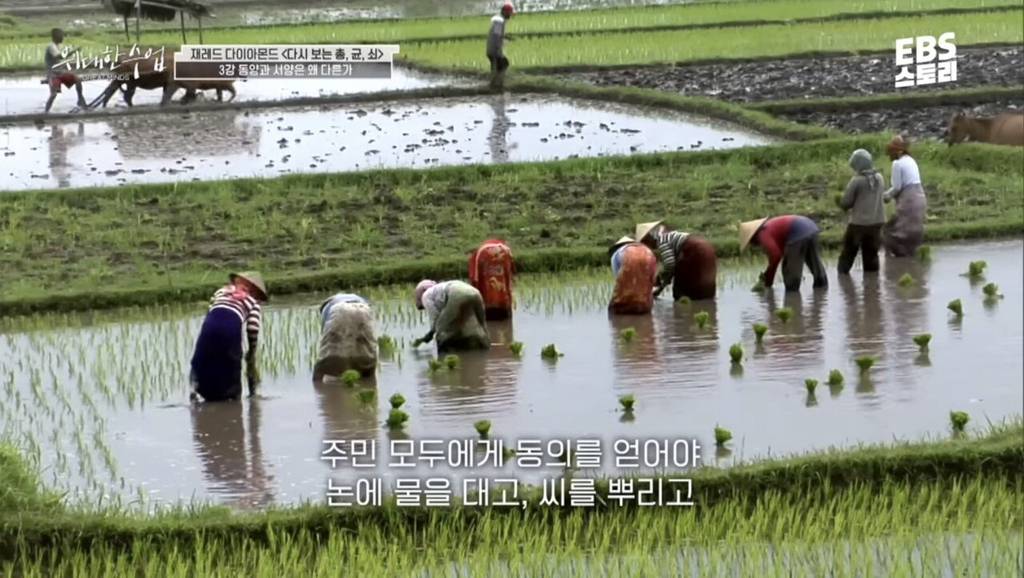 총균쇠 작가가 말하는 동서양 문화차이 원인 | 인스티즈