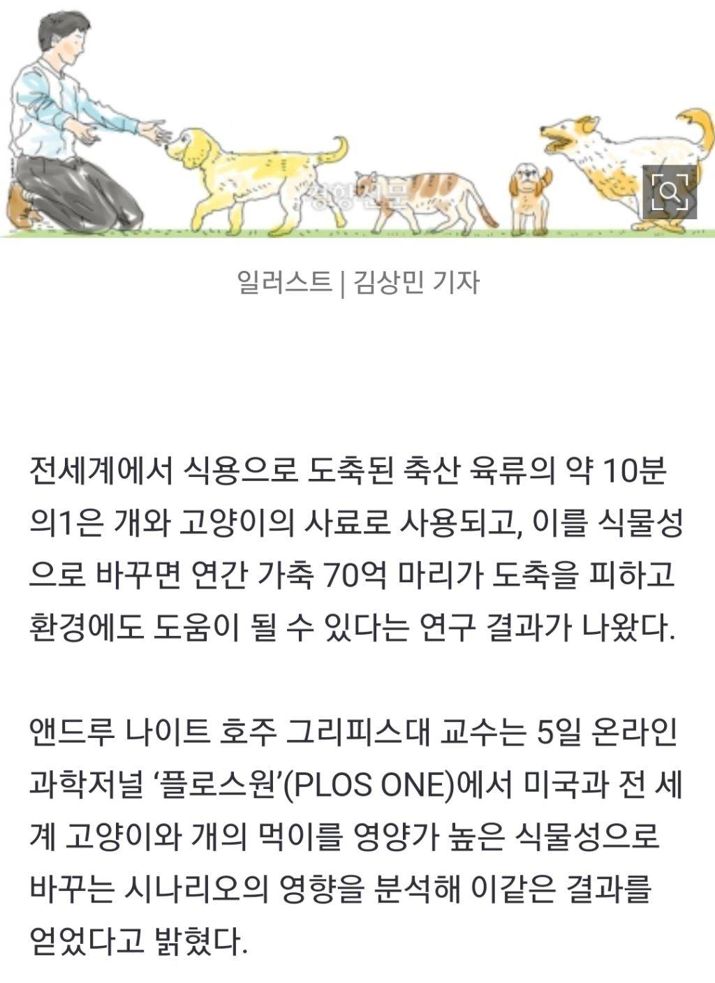 "개·고양이 채식하면 매년 가축 70억마리 도축 막을 수 있다” | 인스티즈